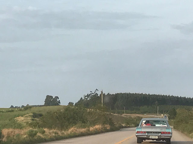 Carro antigo de cor clara dirigindo-se para longe em uma estrada rural cercada por campos verdes e floresta sob um céu nublado, em tons terrosos.